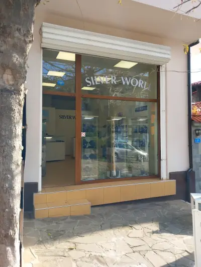 SILVER WORLD