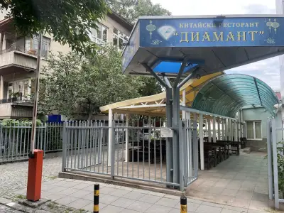 Chinese restaurant "Diamond"-Plovdiv (中国餐厅钻石）