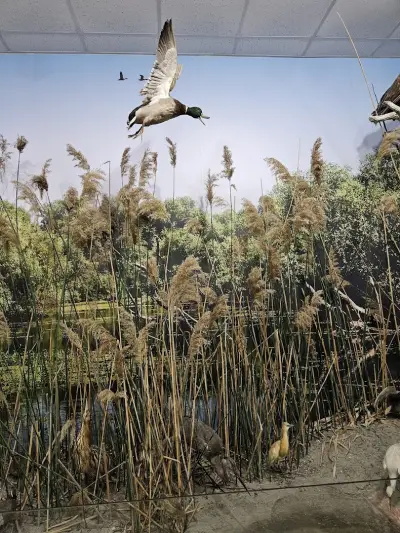 Еко музей