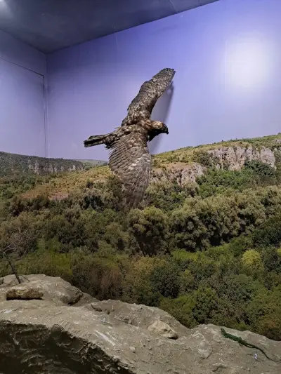 Еко музей