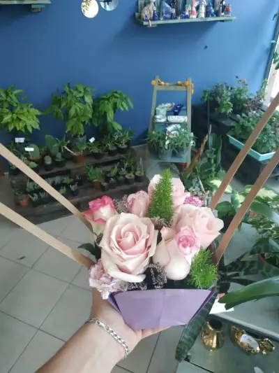 Wonder Forest flowers (цветя)