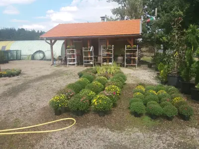 Декоративен разсадник "Чапраза"