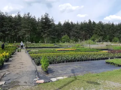 Декоративен разсадник "Чапраза"