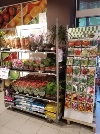 BulMag Супермаркет Трапезица