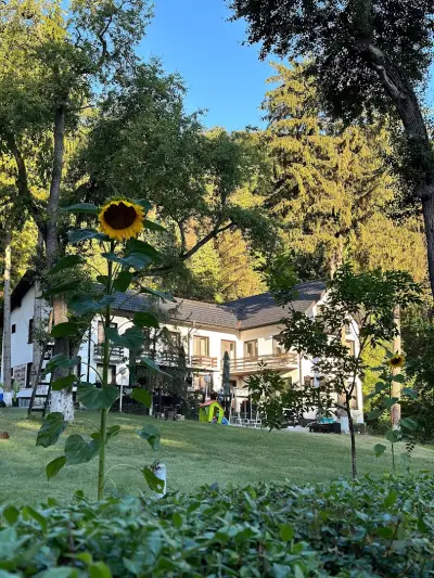 CAMPING STARITE BOROVE
