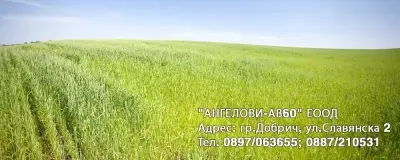 Ангелови-АВ60 ЕООД