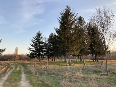 ОвощниКът Термален Къмпинг