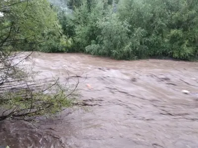 "ВЕЛДЕ БЪЛГАРИЯ" АД