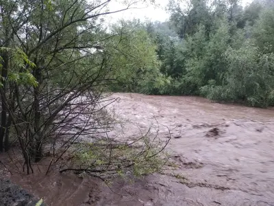 "ВЕЛДЕ БЪЛГАРИЯ" АД