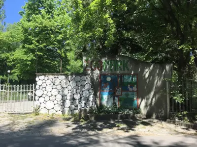 Hair of the Dog Hostel