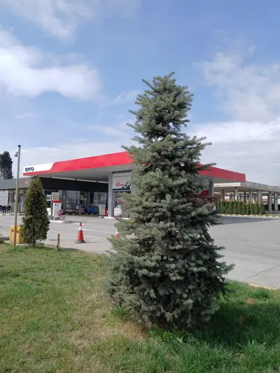 ЕКО