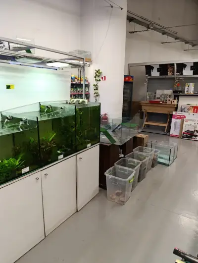 Зоомагазин ZOO CENTER Ринг мол