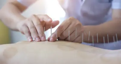 ElitKinesio