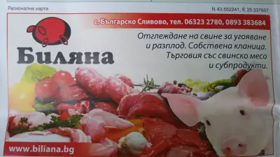 Биляна ООД