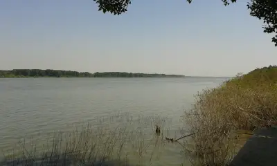 Коев СД