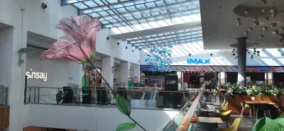 Арена
