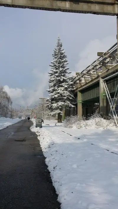 Свилоза АД