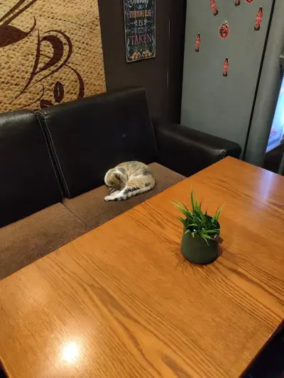 Macco Cafe