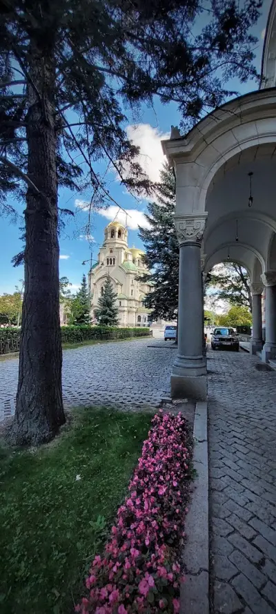 Българска патриаршия - Свети Синод