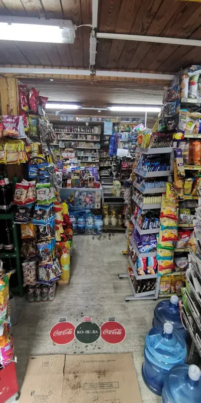 ПРОДАЖБА НА ХРАНИТЕЛНИ СТОКИ, ЦИГАРИ И АЛКОХОЛ