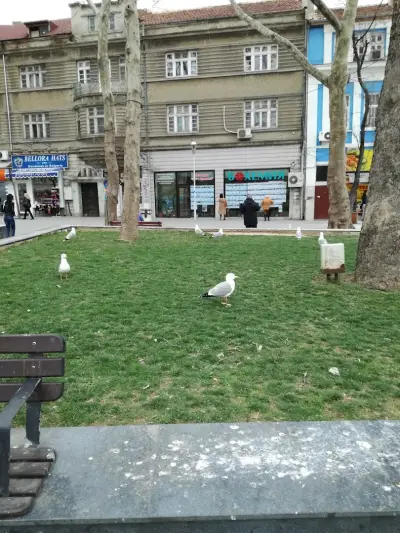 Елит Мобил