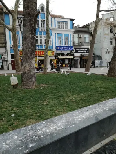 Елит Мобил