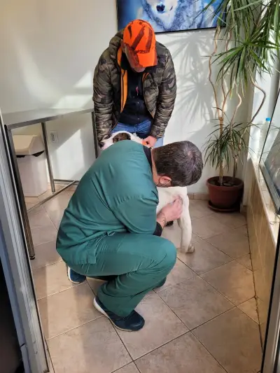Ветеринарна клиника Анимо
