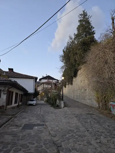 Balkan Horn