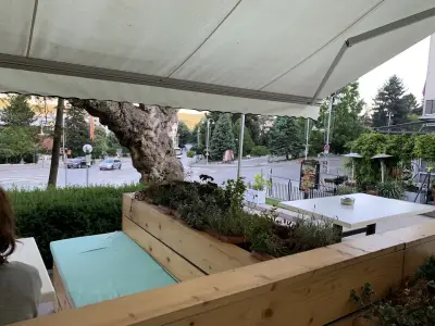 Top döner kebab Dinero