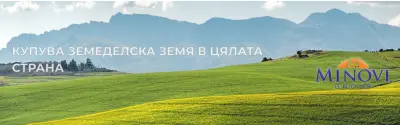Minovi Group LTD