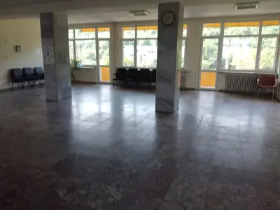 Д-р Димитър Павлович