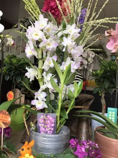 Цветарски магазин ,,City Flowers"