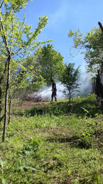 Кметство Пиргово