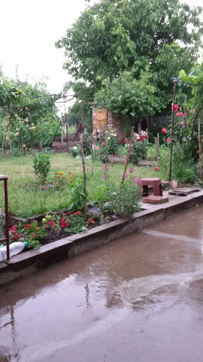 Кметство село Червена