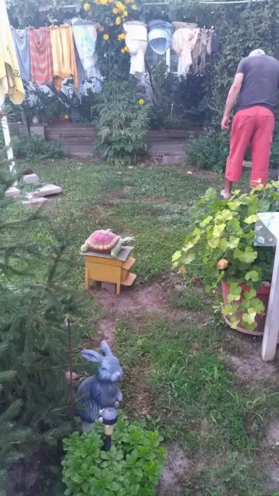 КМЕТСТВО ПЕТОКЛАДЕНЦИ