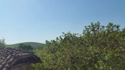 Кметство Беляново