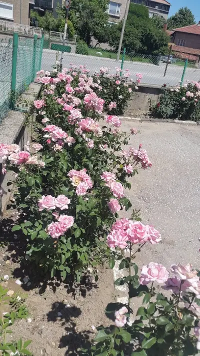 Кметство Беляново