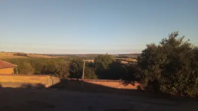 Кметство Джулюница