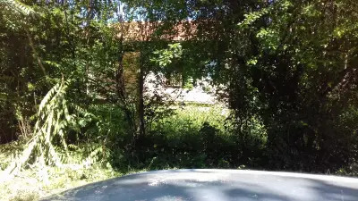 Кметство Джулюница