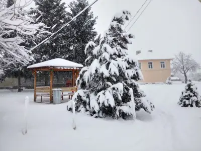 Кметство Александрово