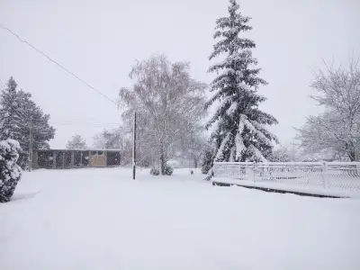 Кметство Александрово