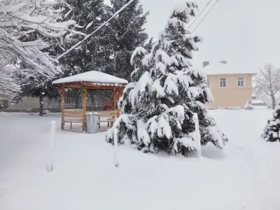 Кметство Александрово