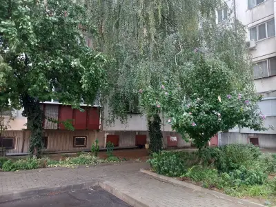 Община Белене