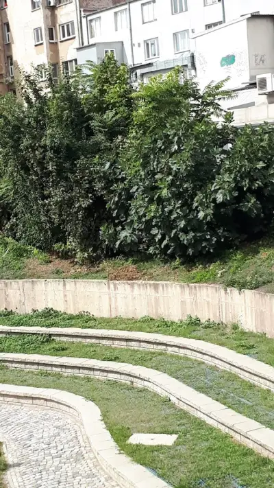 Дева Мария на Броеницата