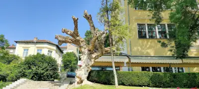 Tsarevets Residence