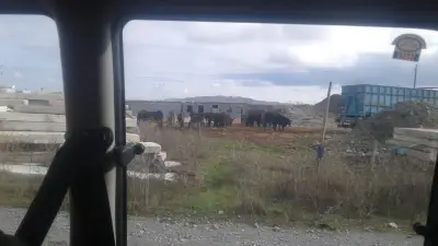ЛЕПЕНЕ И ВЪЗСТАНОВЯВАНЕ НА СПУКАНИ АВТОСТЪКЛА за ЦЯЛАТА СТРАНА, ГЛАСМЕДЖИК