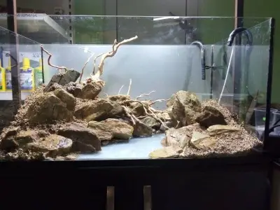 Аквалайф