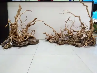 Аквалайф