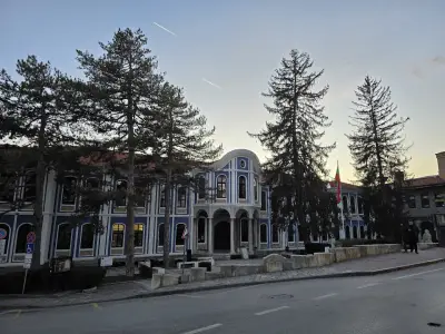 ВТ БЪЛГАРИЯ