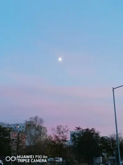 Руски масла,добавки и смазки.
